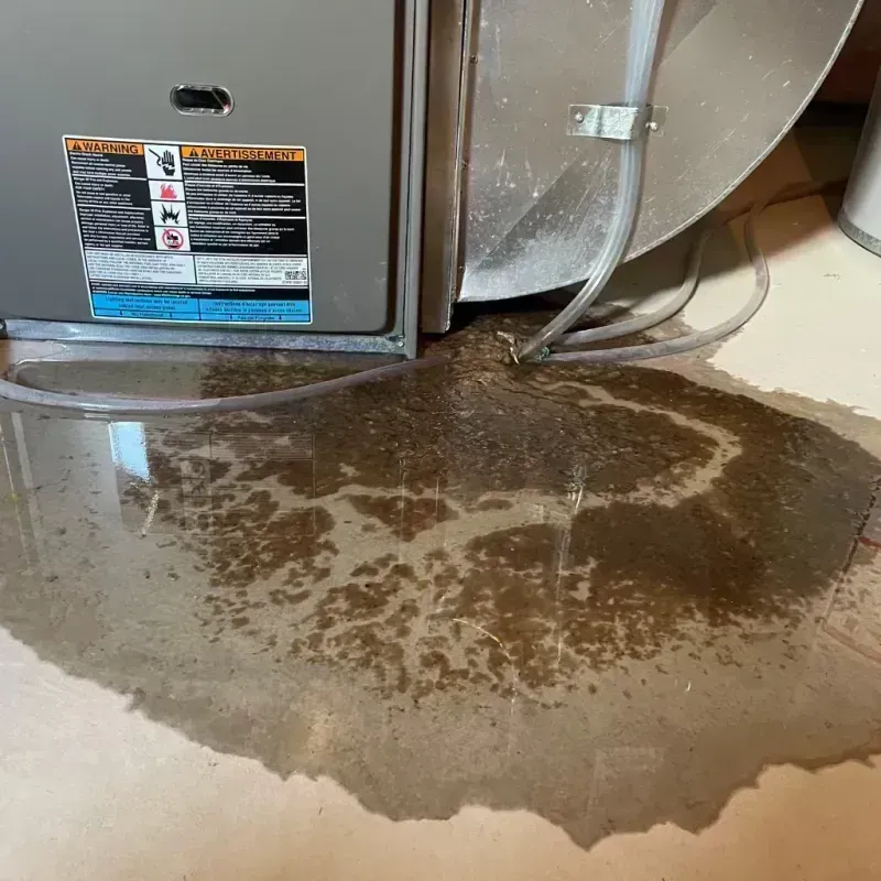 Appliance Leak Cleanup in Stanford, KY